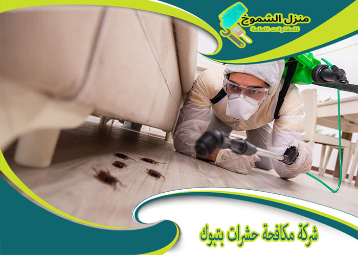 مكافحة حشرات تبوك: كل ما تحتاج معرفته لحماية منزلك