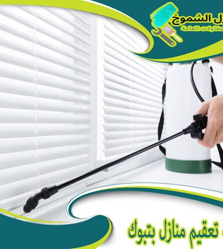 شركة تعقيم منازل بتبوك