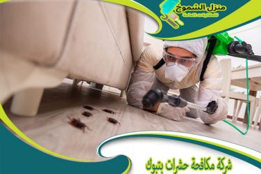 شركة مكافحة حشرات بتبوك