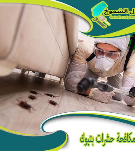 شركة مكافحة حشرات بتبوك