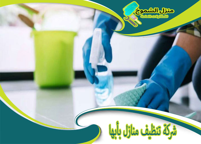 شركة تنظيف مناول بابها: خدمات تنظيف محترفة وأسعار تنافسية