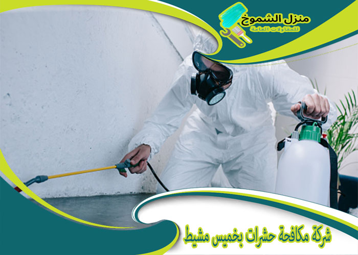 شركة مكافحة حشرات بخميس مشيط الامجاد: الحل الأمثل للحماية من الآفات