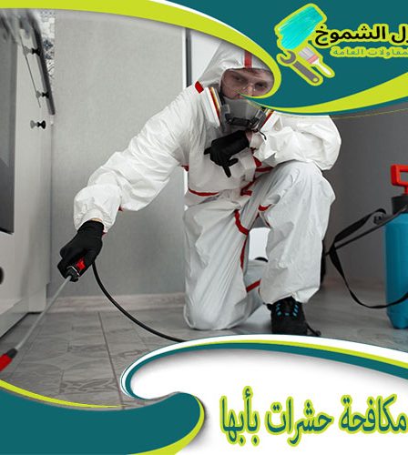 شركة مكافحة حشرات بأبها