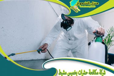 شركة مكافحة حشرات بخميس مشيط