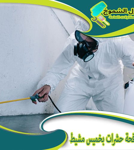 شركة مكافحة حشرات بخميس مشيط