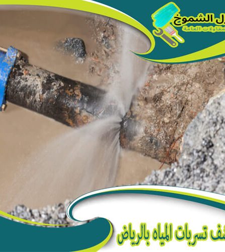شركة كشف تسربات المياه بالرياض