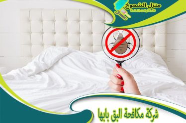 شركة مكافحة البق بابها