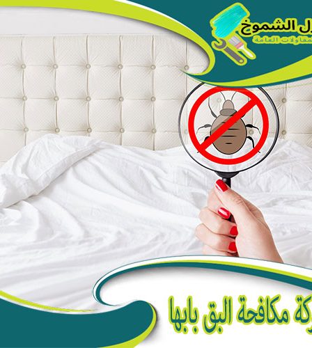 شركة مكافحة البق بابها