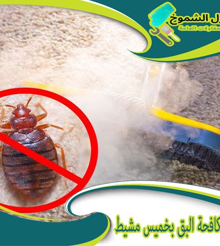 شركة مكافحة البق بخميس مشيط