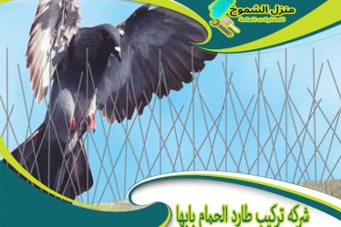 شركة تركيب طارد الحمام بابها