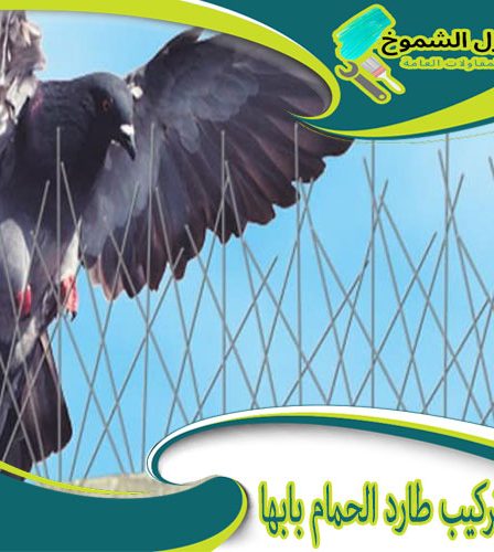 شركة تركيب طارد الحمام بابها
