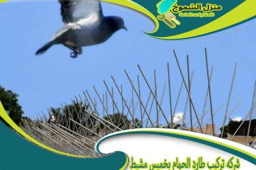 شركة تركيب طارد الحمام بخميس مشيط