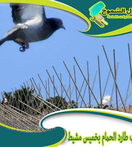 شركة تركيب طارد الحمام بخميس مشيط