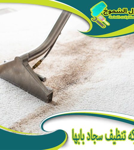 شركة تنظيف سجاد بابها