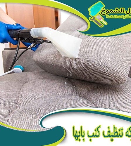 شركة تنظيف كنب بابها