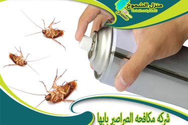 شركة مكافحة الصراصير بابها