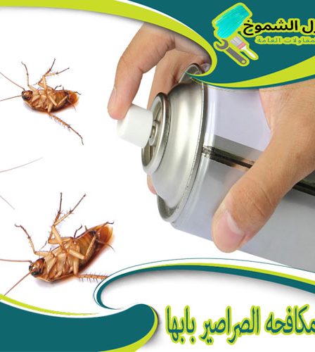 شركة مكافحة الصراصير بابها