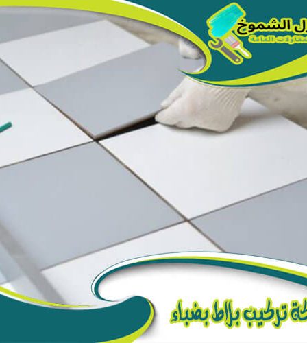 شركة تركيب بلاط بضباء