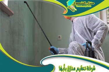 شركة تعقيم منازل بأبها