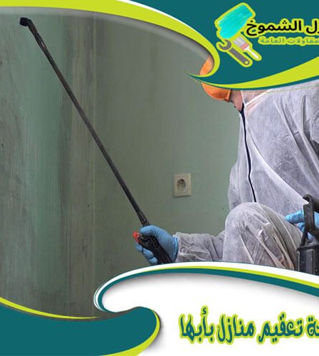 شركة تعقيم منازل بأبها