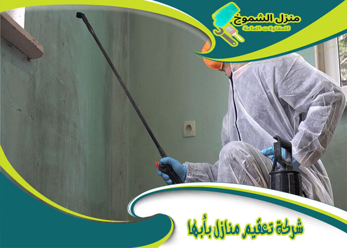 شركة تعقيم منازل بأبها