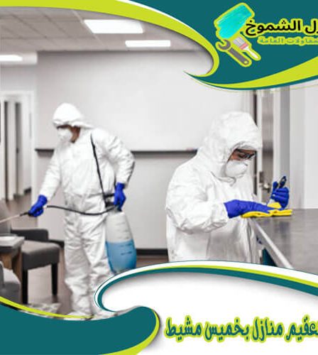 شركة تعقيم منازل بخميس مشيط