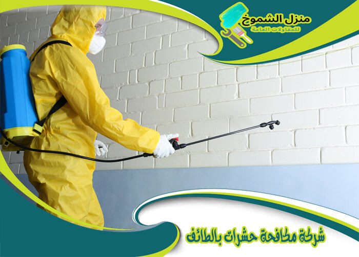 مكافحه حشرات بالطائف: دليل شامل لحماية منزلك