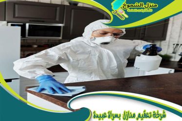 شركة تعقيم منازل  بسراة عبيدة