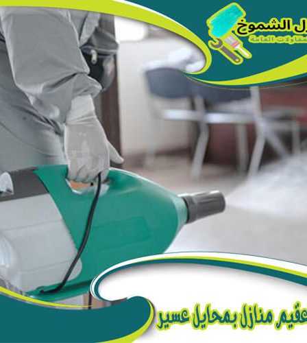 شركة تعقيم منازل بمحايل عسير