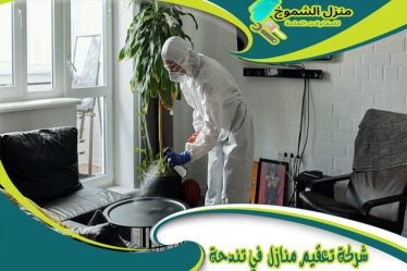 شركة تعقيم منازل في تندحة