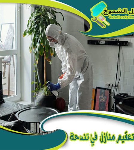 شركة تعقيم منازل في تندحة