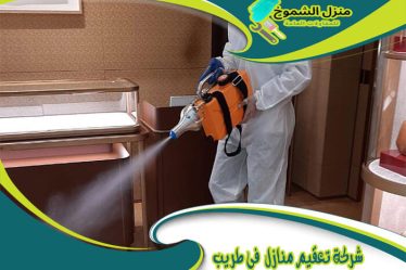 شركة تعقيم منازل في طريب