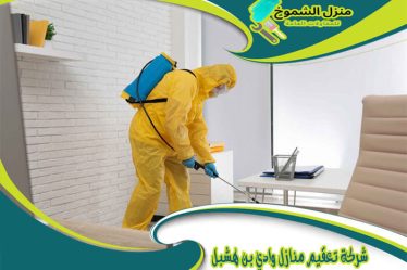 شركة تعقيم منازل وادي بن هشبل