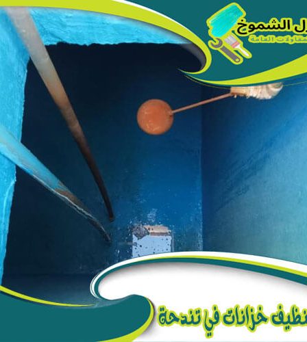 شركة تنظيف خزانات في تندحة