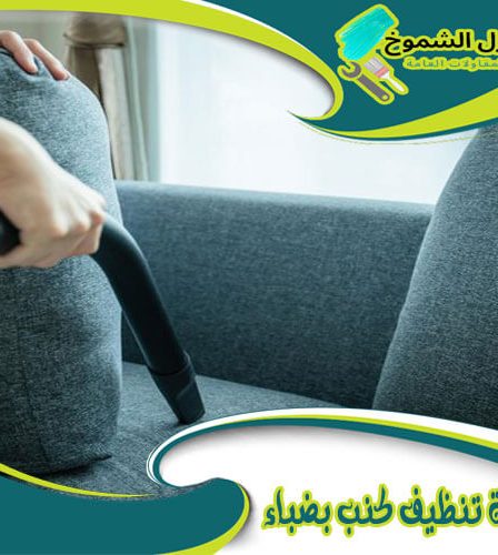 شركة تنظيف كنب بضباء
