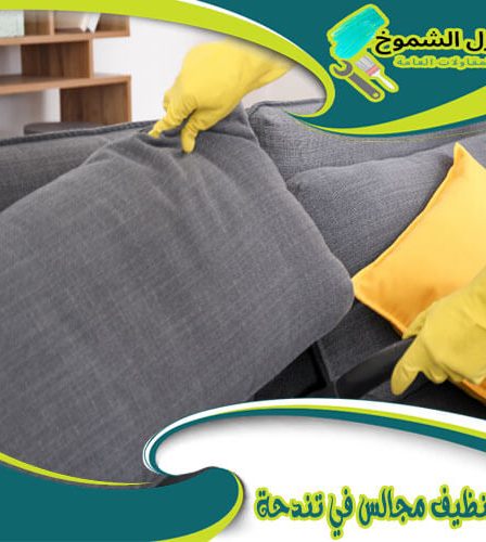 شركة تنظيف مجالس في تندحه