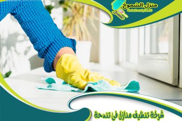 شركة تنظيف منازل في تندحة