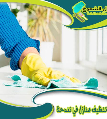 شركة تنظيف منازل في تندحة