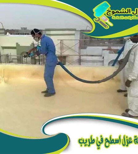 شركة عزل اسطح في طريب