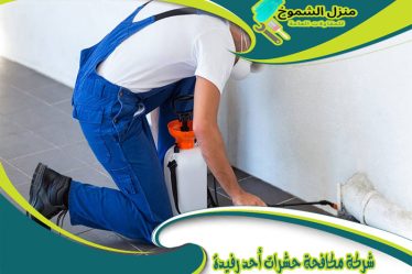 شركة مكافحة حشرات أحد رفيدة