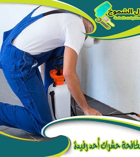 شركة مكافحة حشرات أحد رفيدة
