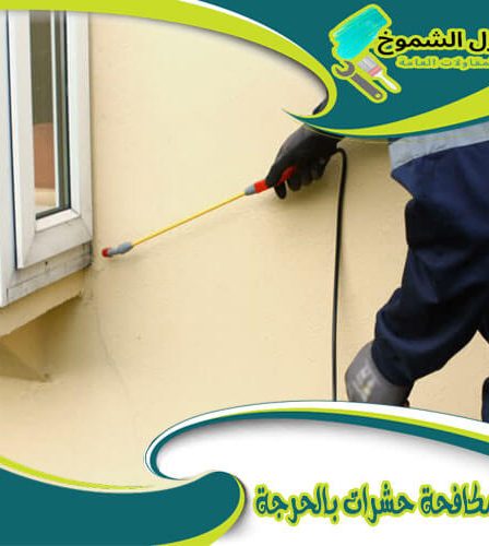 شركة مكافحة حشرات بالحرجة
