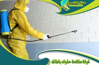 شركة مكافحة حشرات بالطائف