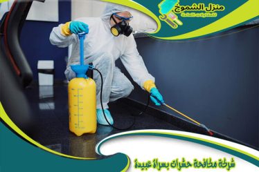 شركة مكافحه حشرات بسراة عبيدة