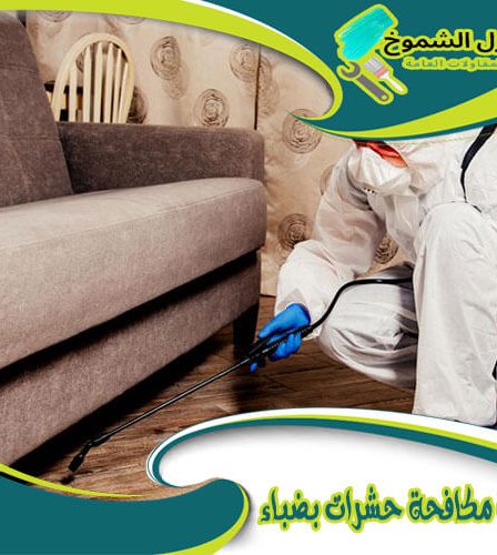 شركة مكافحة حشرات بضباء