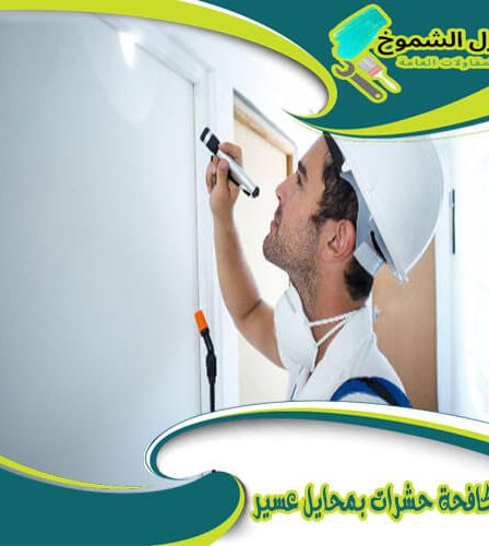 شركة مكافحة حشرات بمحايل عسير