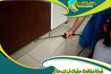 شركة مكافحة حشرات في تندحة