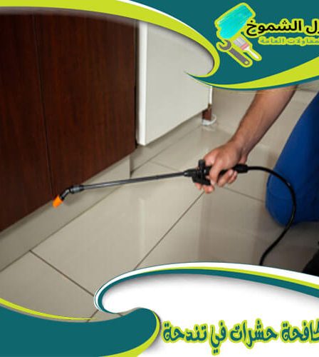 شركة مكافحة حشرات في تندحة