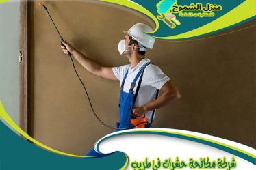 شركة مكافحة حشرات في طريب