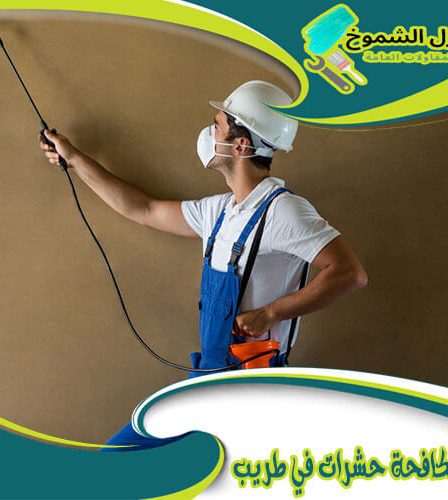 شركة مكافحة حشرات في طريب